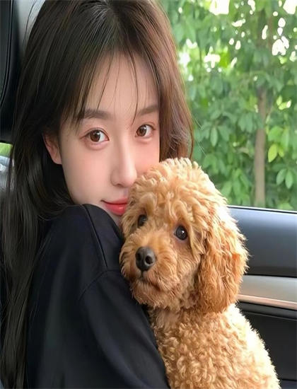 免费观看：日出之食第4季美学价值分析：艺术美感与审美特征探讨